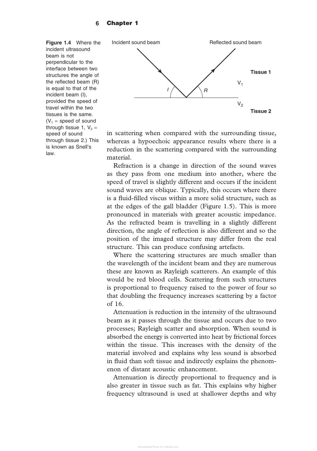 Diagnostic Ultrasound In Small Animal Practice