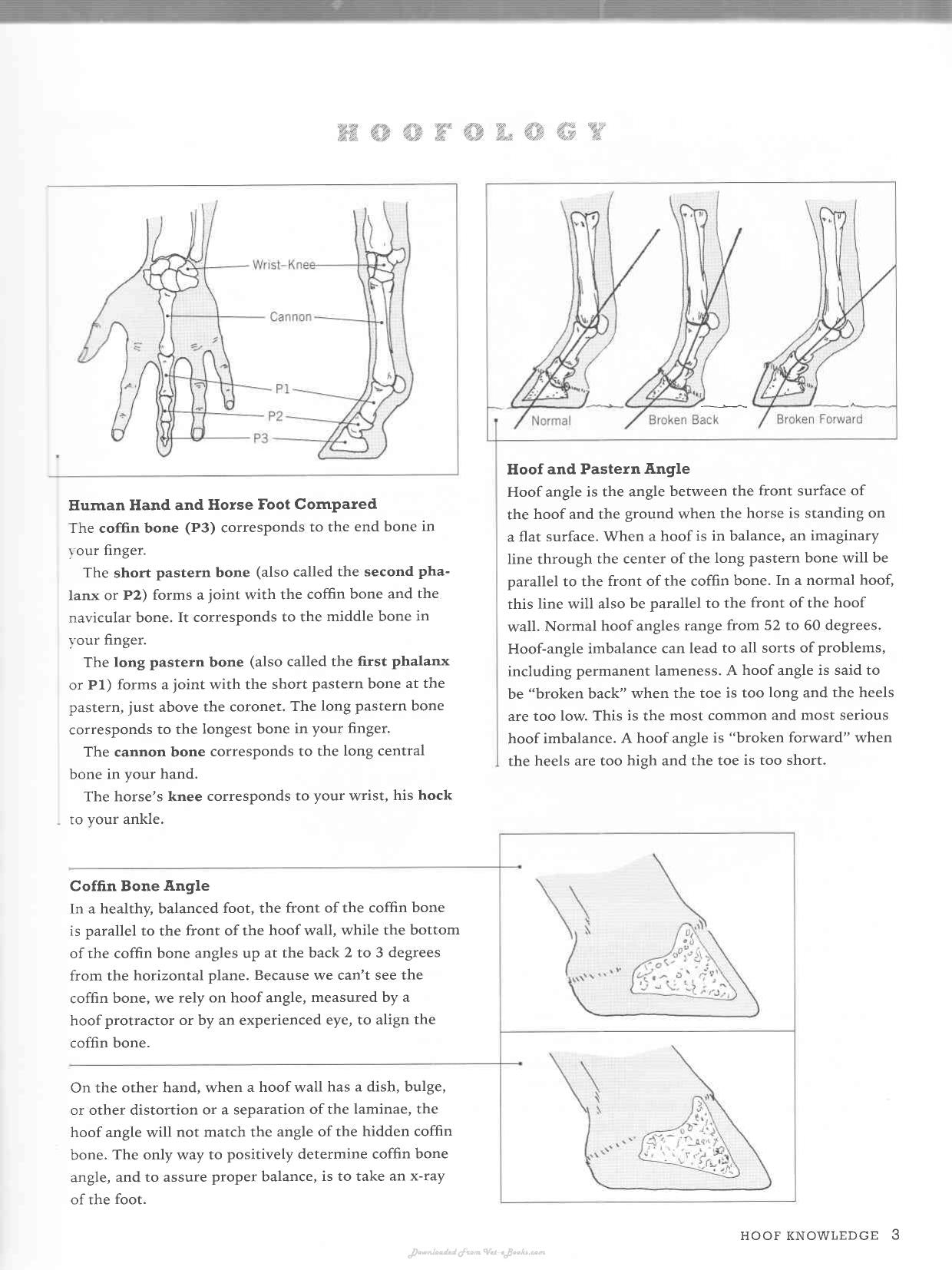 Look inside — page 12