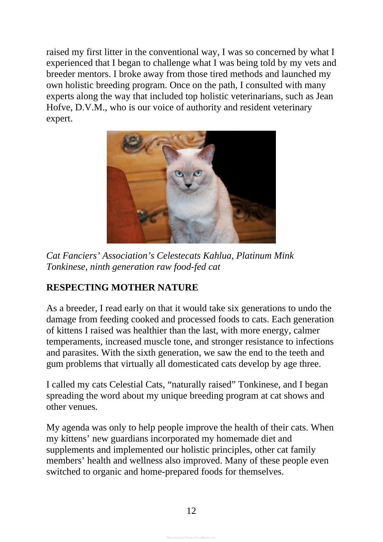 The Complete Guide To Holistic Cat Care An Illustrated Handbook