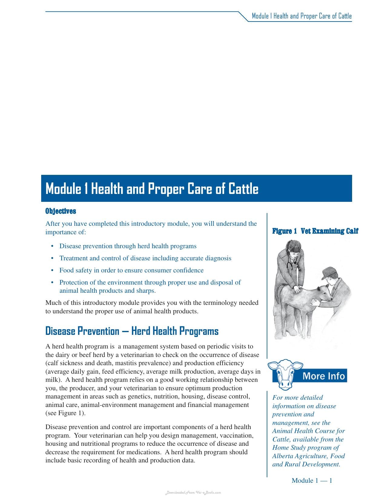 Cattle Medicine Responsible Use Course