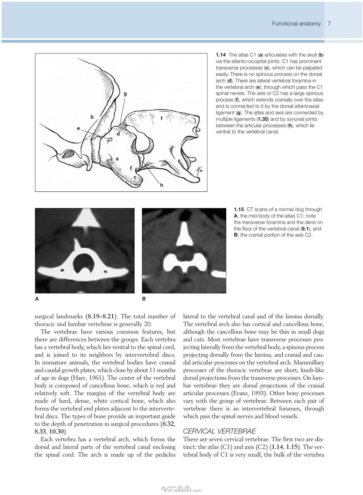 Small Animal Spinal Disorders Diagnosis And Surgery 2Nd Edition