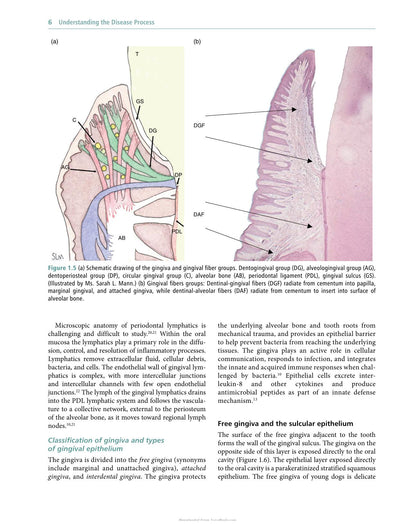Veterinary Periodontology
