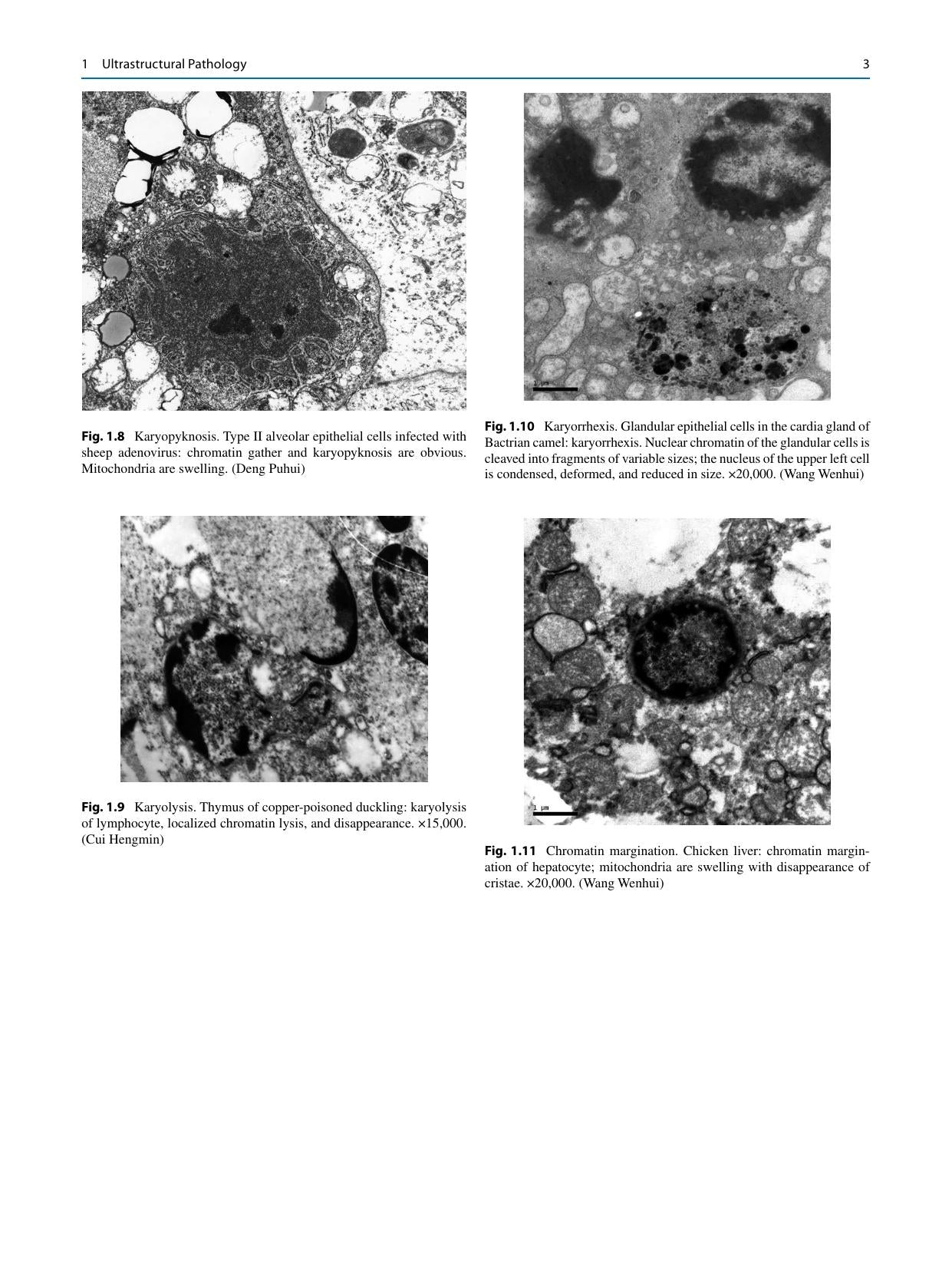 Look inside — page 12