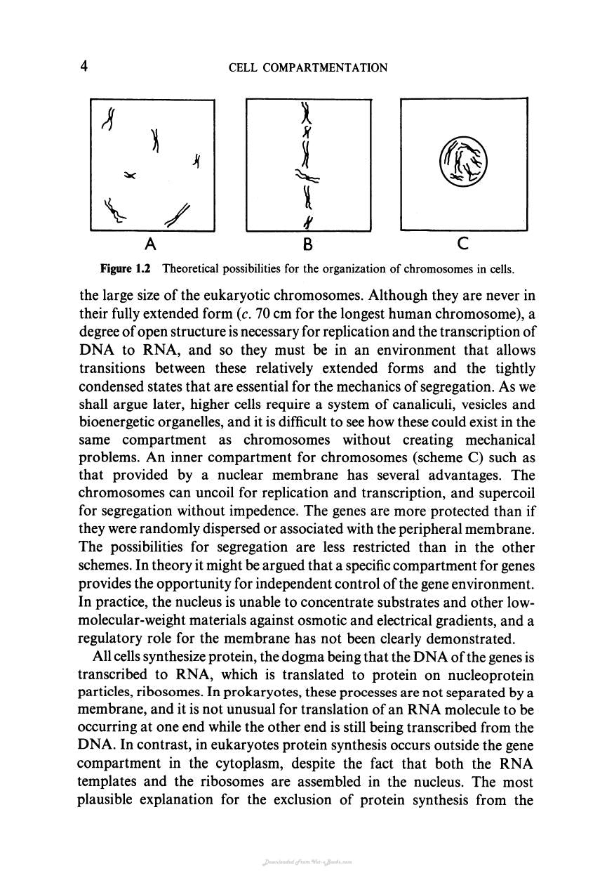 Biochemistry And Structure Of Cell Organelle