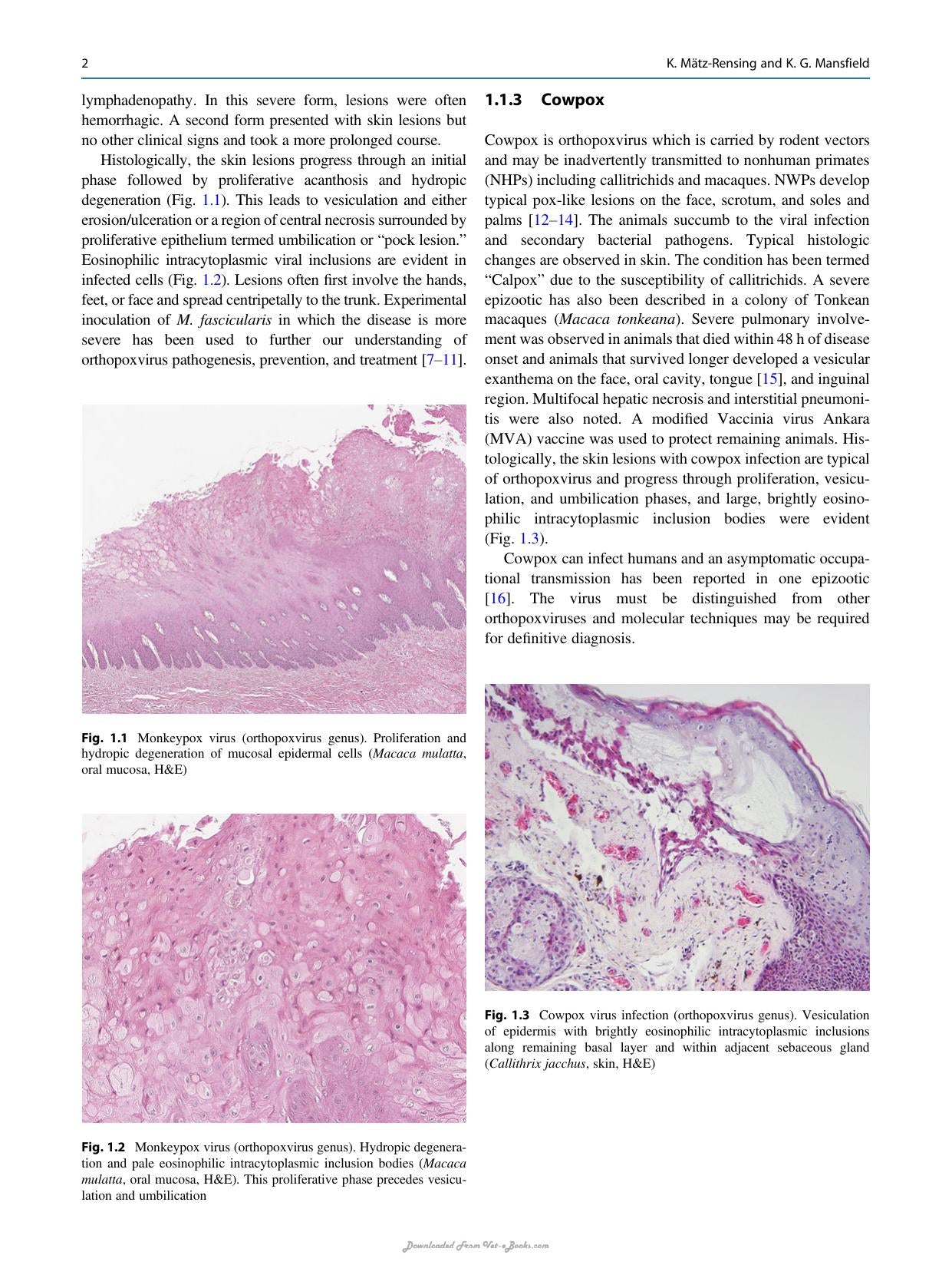 Atlas Of Diagnostic Pathology In Nonhuman Primates