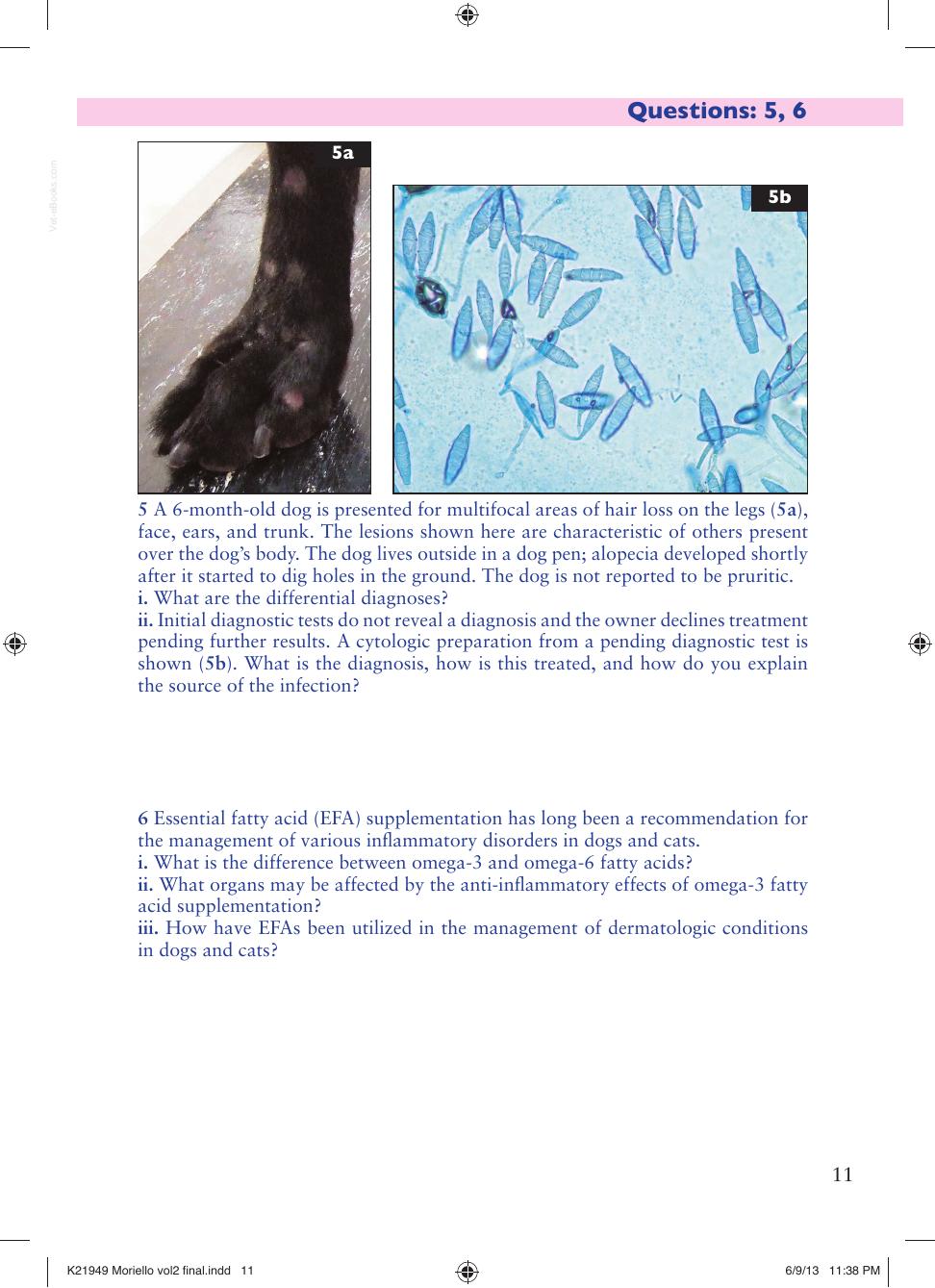 Small Animal Dermatology Advanced Cases Self Assessment Color Review