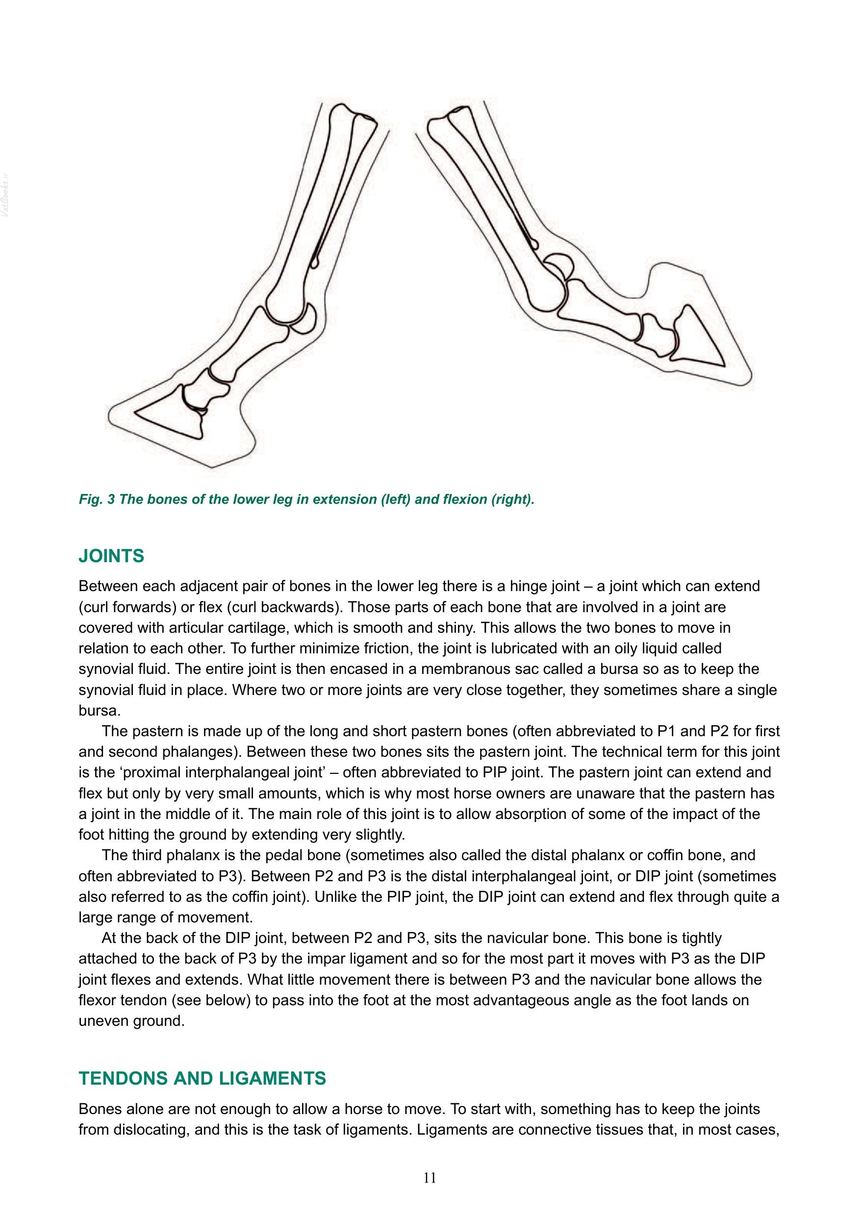 Look inside — page 12