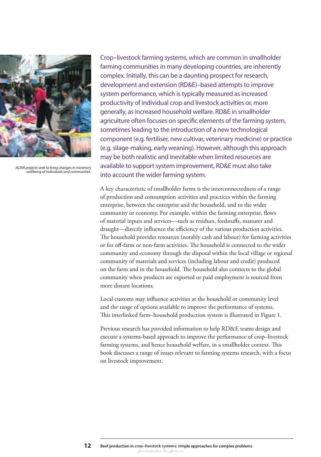 Beef Production In Crop Livestock Systems Simple Approaches For Complex Problems
