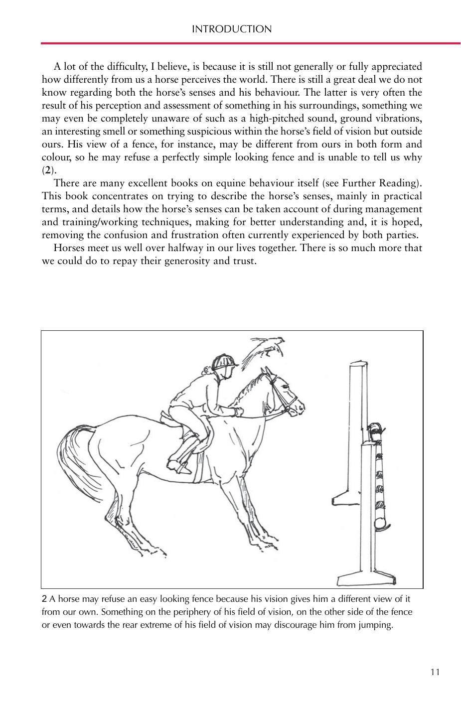 Horse Senses