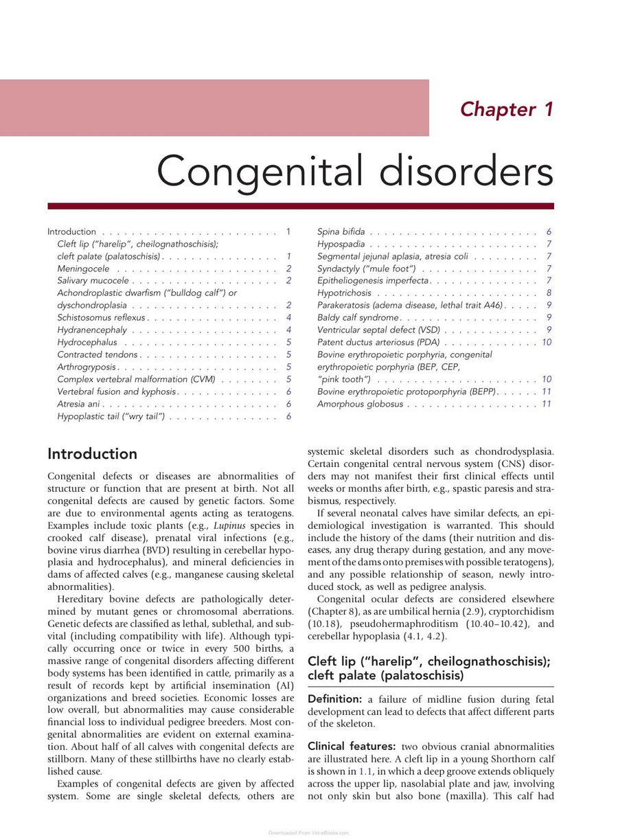 Preview page of Color Atlas Diseases Disorders Cattle 3rd Edition