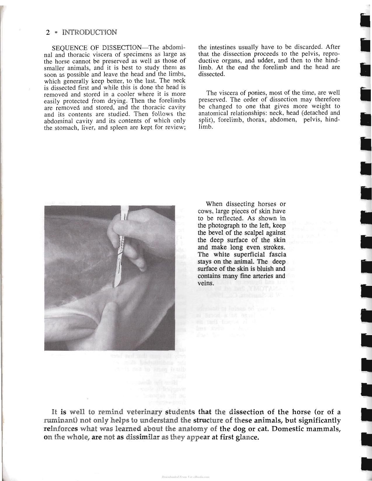 Look inside — page 12