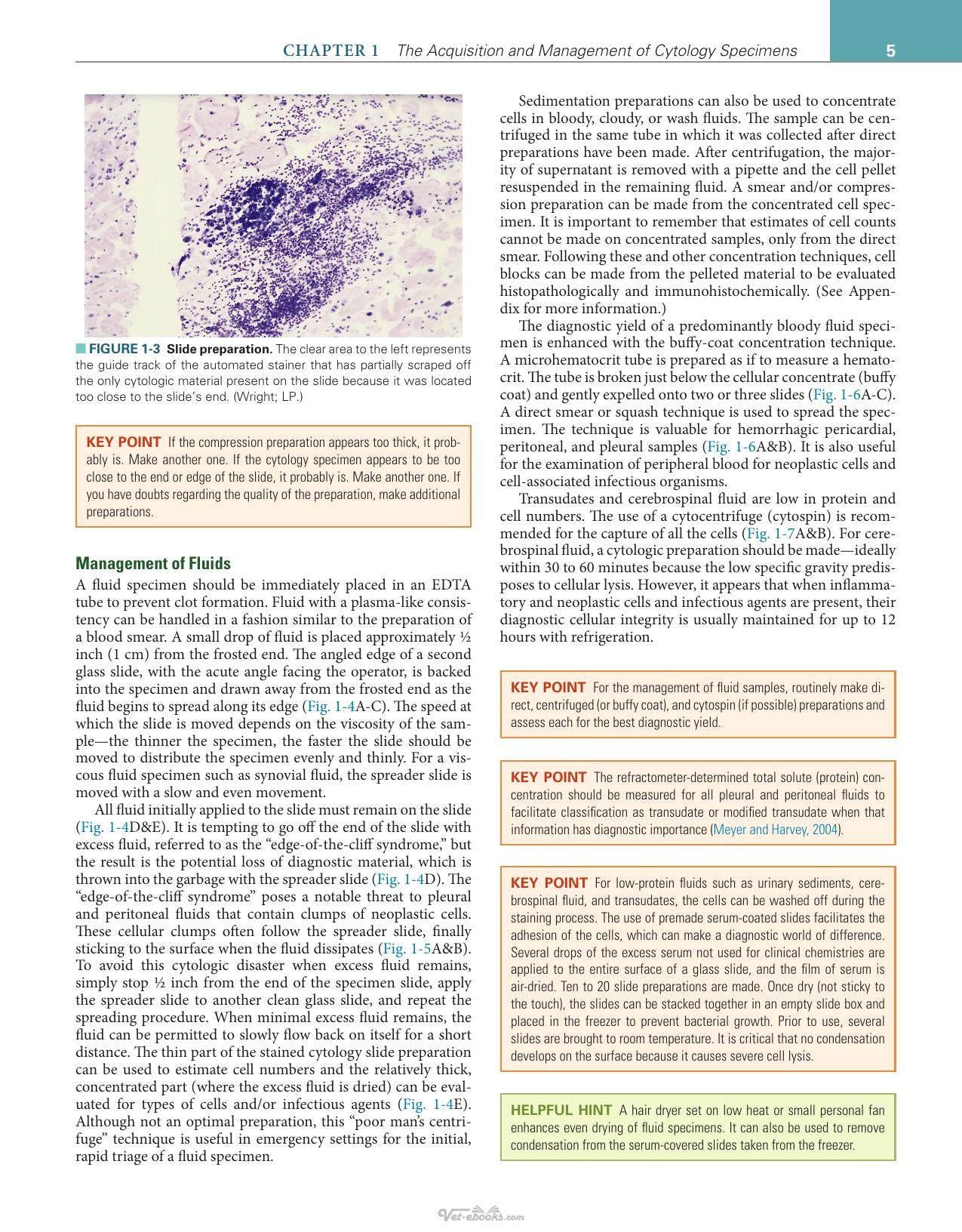 Canine And Feline Cytology A Color Atlas And Interpretation Guide 3Rd Edition
