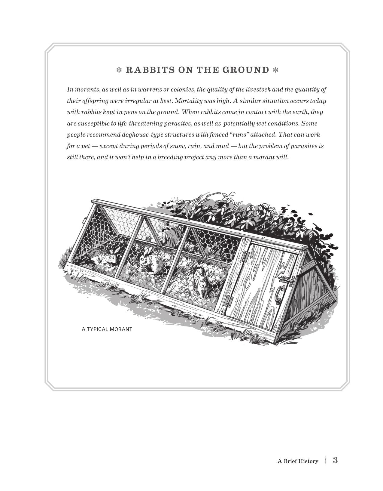 Look inside — page 12