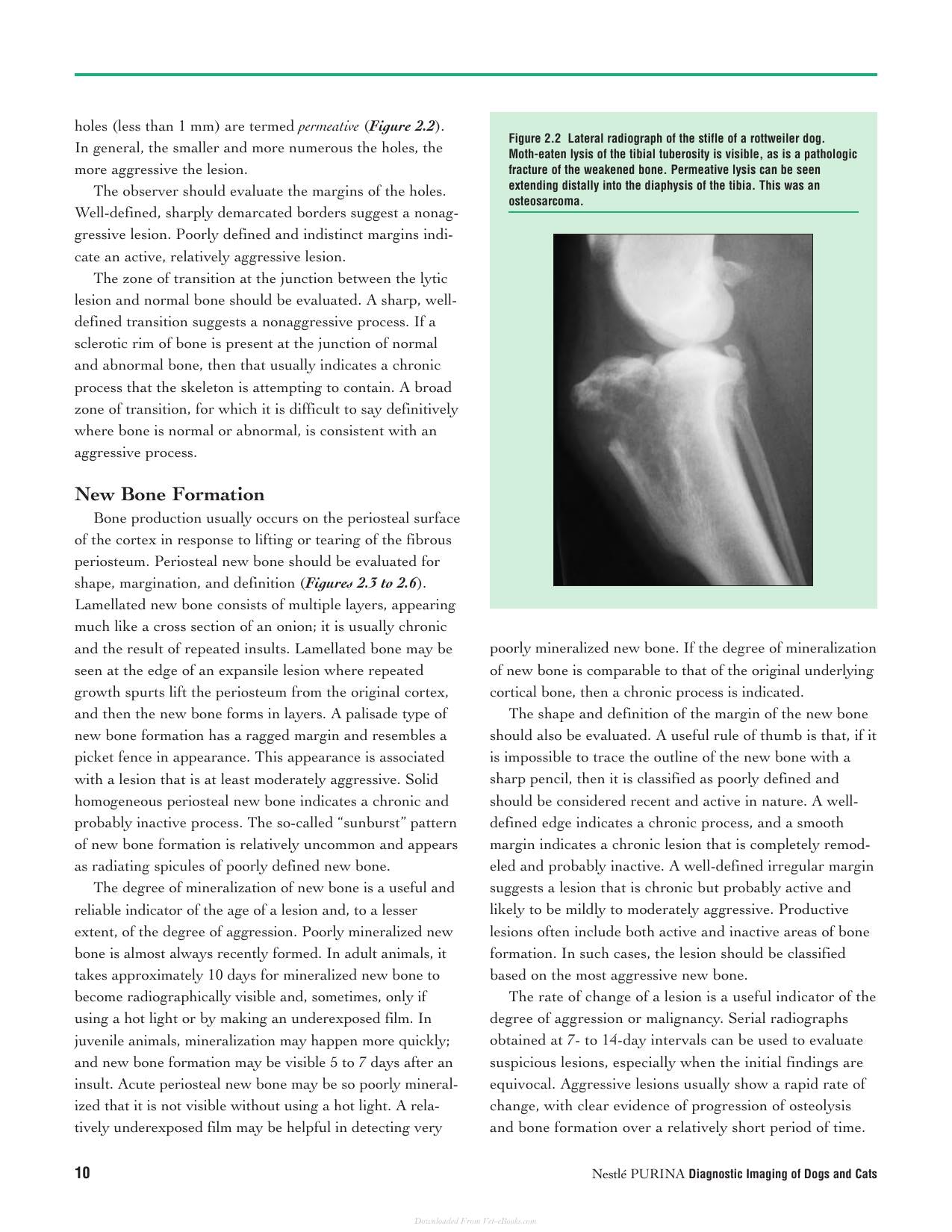 Diagnostic Imaging Of Dogs And Cats