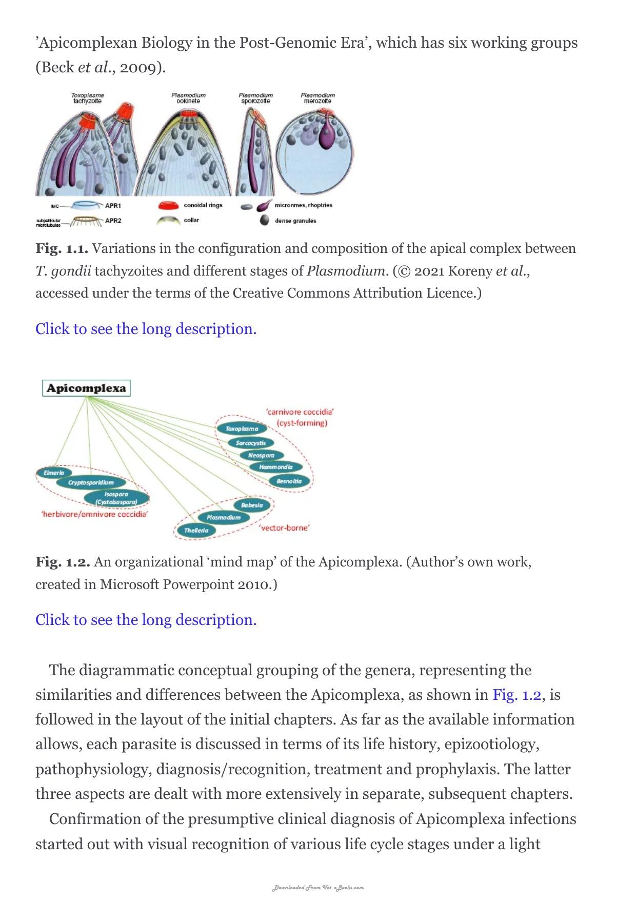 Apicomplexa In Livestock
