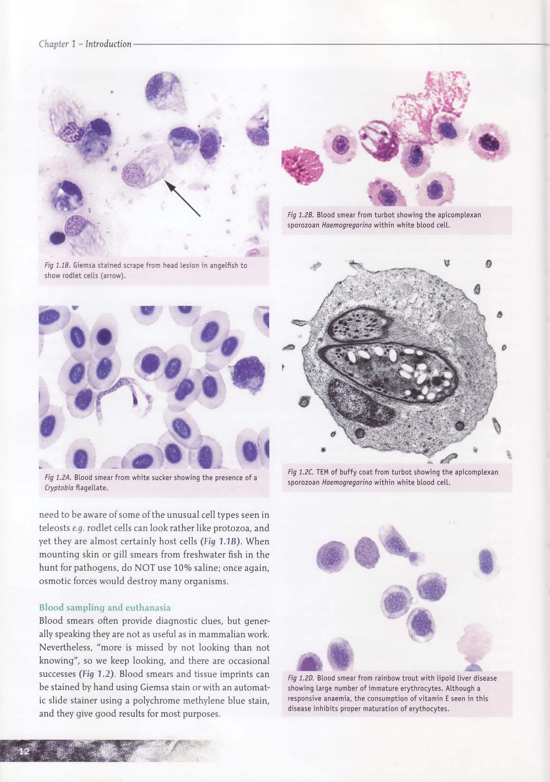 Systemic Pathology Of Fish A Text And Atlas Of Normal Tissues In Teleosts And Their Response In Disease 2nd Edition