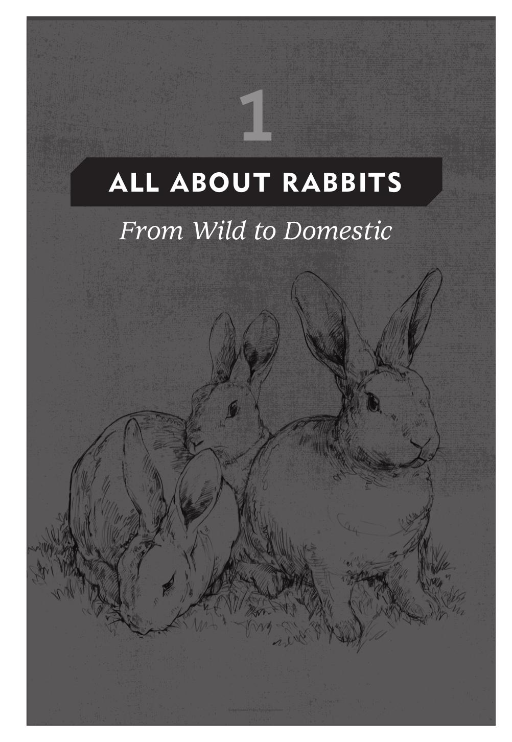 Look inside — page 12