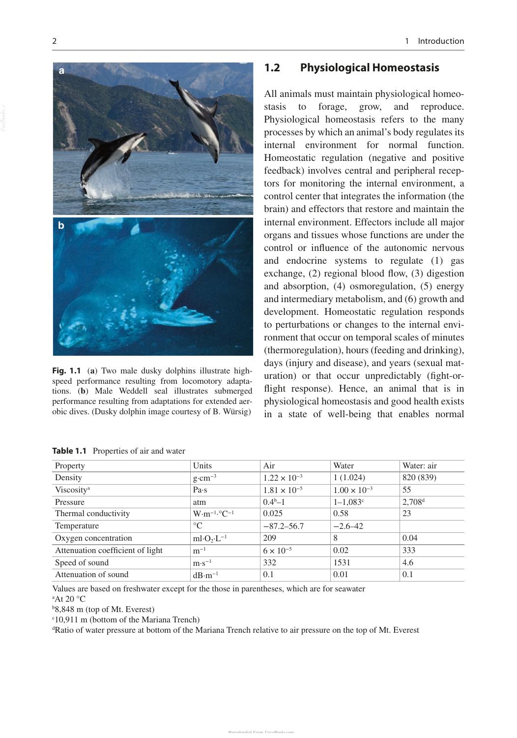 Marine Mammals Adaptations For An Aquatic Life