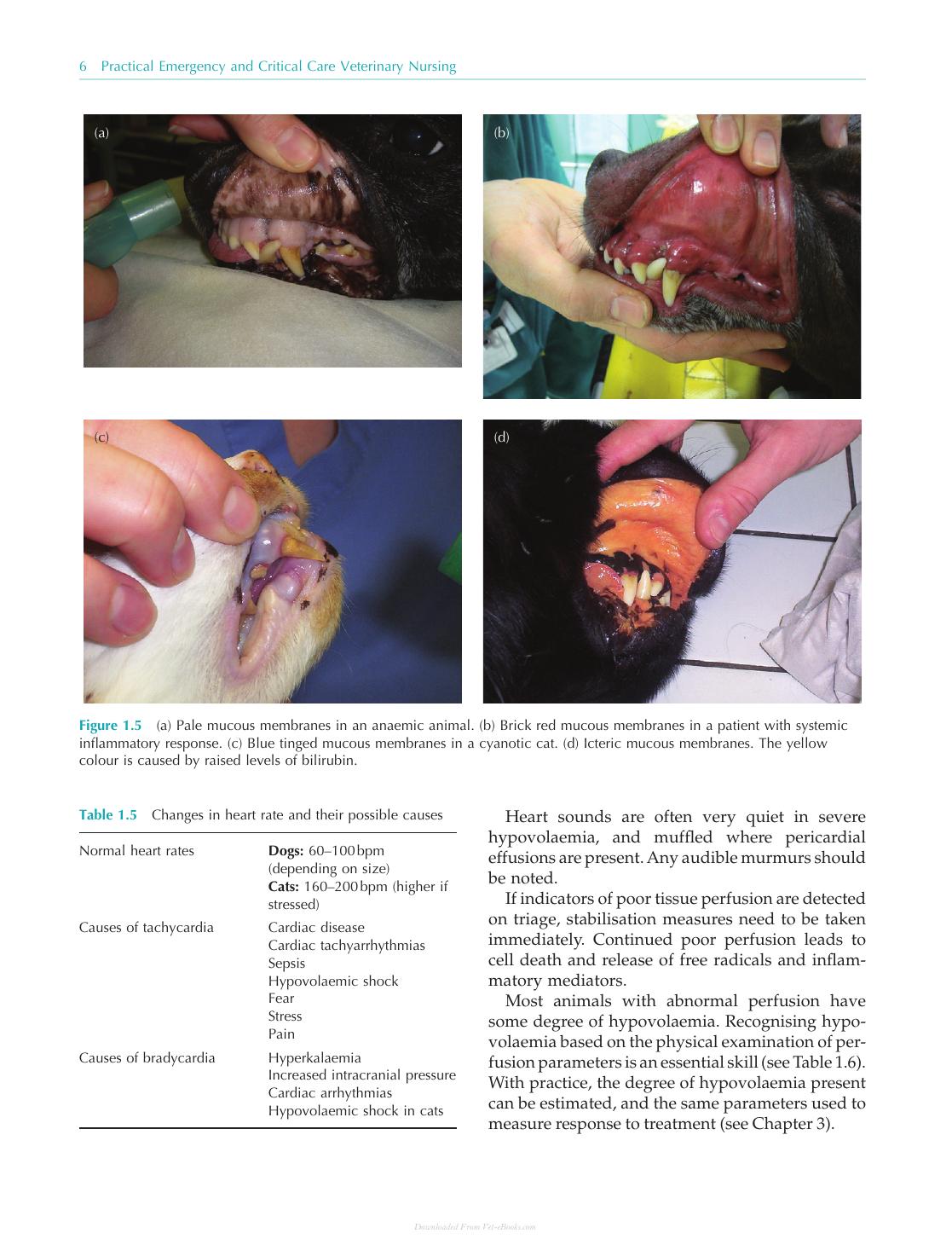 Practical Emergency And Critical Care Veterinary Nursing