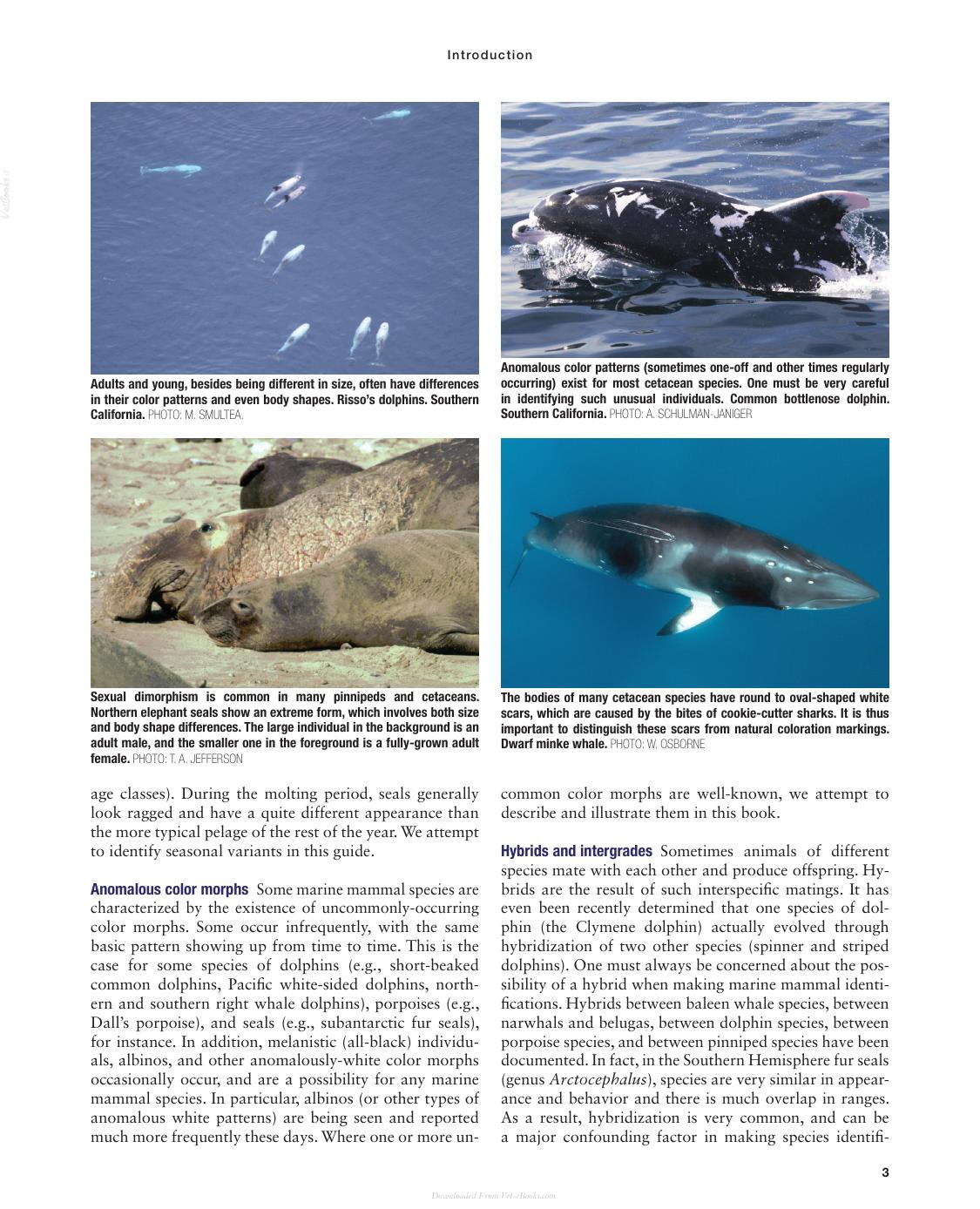 Marine Mammals Of The World A Comprehensive Guide To Their Identification 2Nd Edition