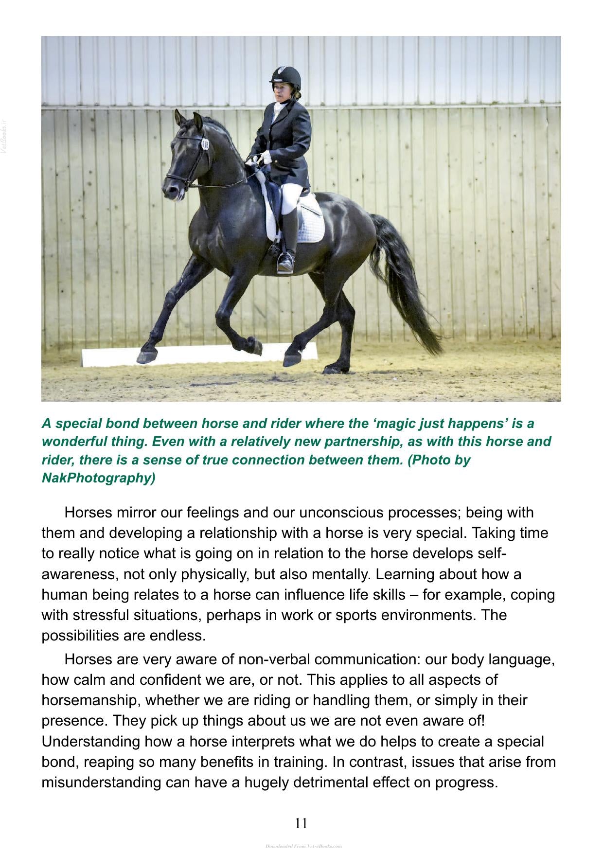 The Psychology Of Horsemanship Understanding The Horse And You