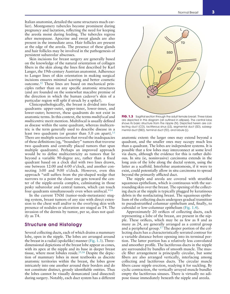 Preview page of Breast Pathology 2nd Edition