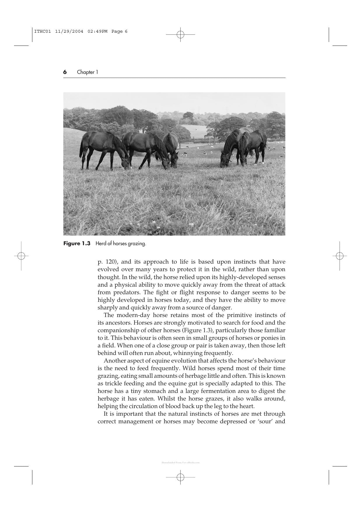 Look inside — page 12