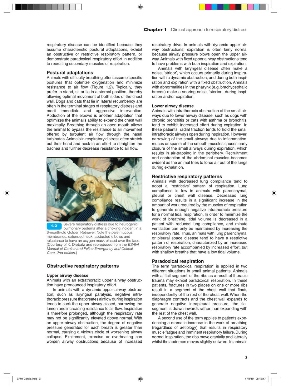 Preview page of Bsava Manual of Canine and Feline Cardiorespiratory Medicine 2nd Edition