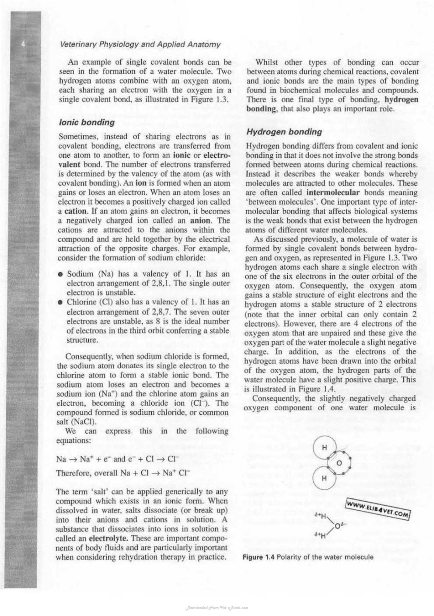 Veterinary Physiology And Applied Anatomy A Textbook For Veterinary Nurses And Technicians