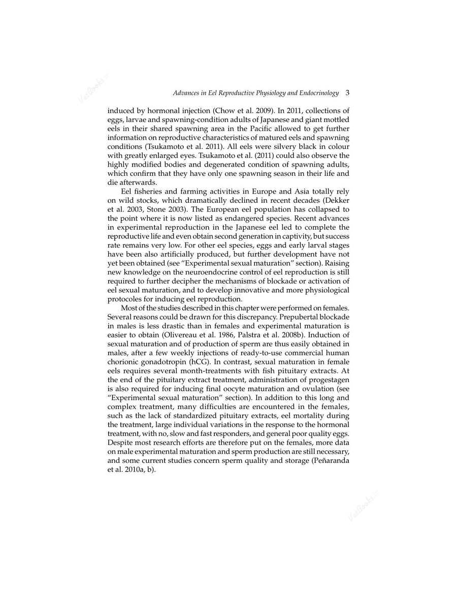 Preview page of Eel Physiology