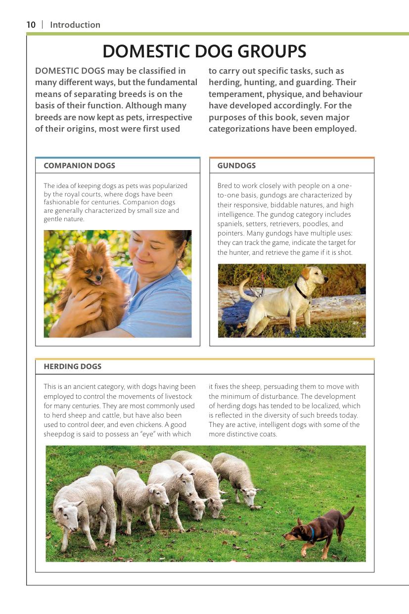 Dogs Dk Handbooks