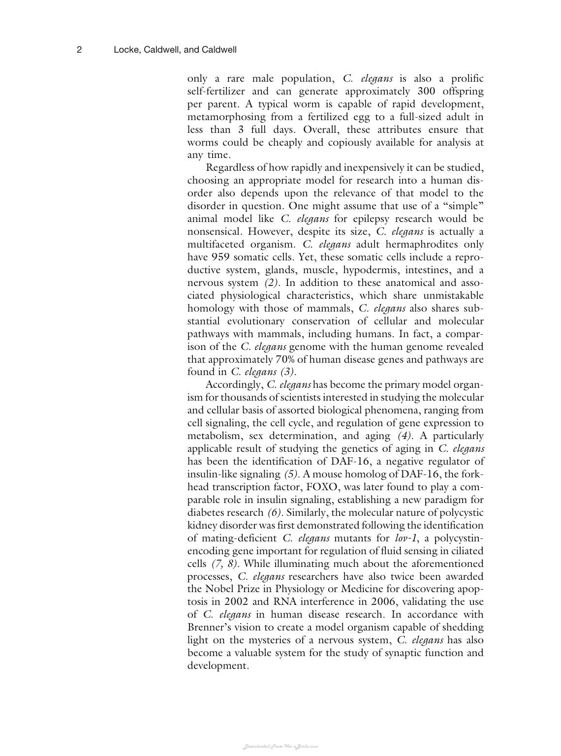 Animal Models Of Epilepsy Methods And Innovations