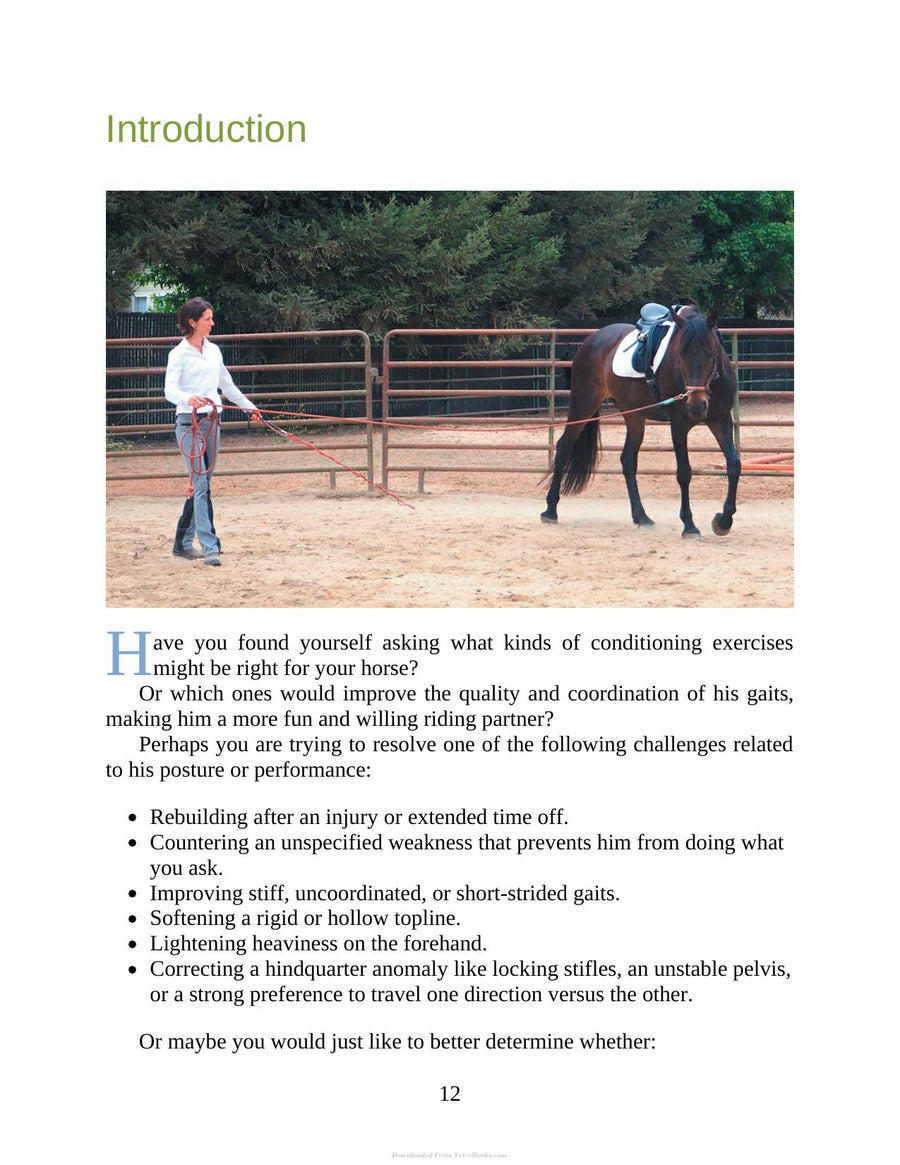 Preview page of 55 Corrective Exercises for Horses Resolving Postural Problems Improving Movement Patterns and Preventing Injury