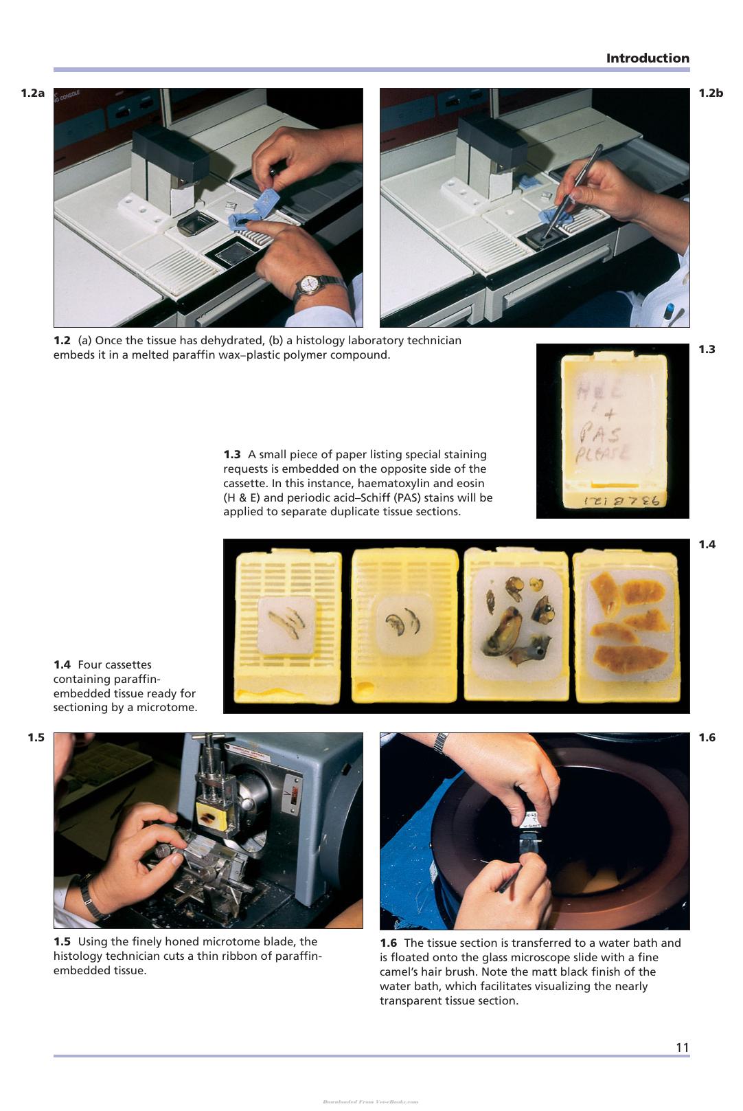 Look inside — page 12
