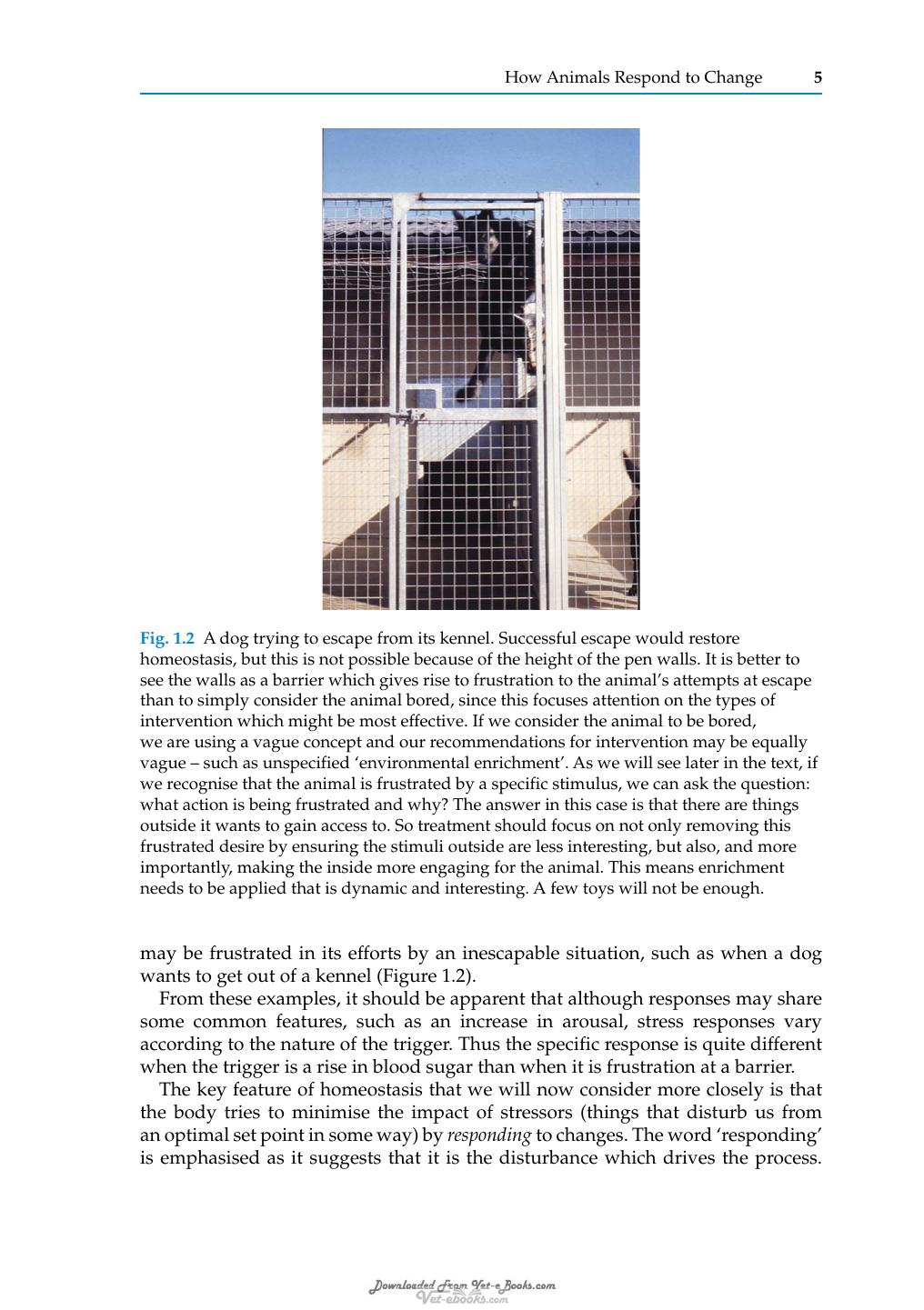 Stress And Pheromonatherapy In Small Animal Clinical Behaviour