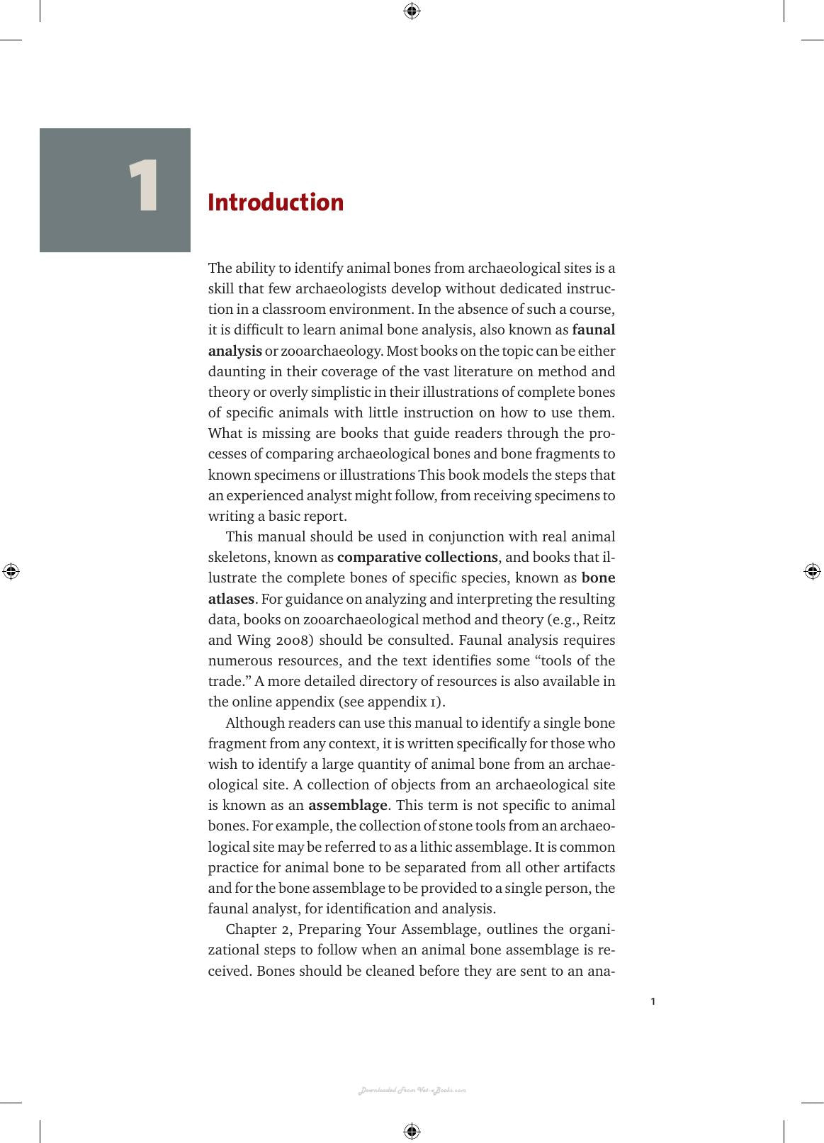 Identifying And Interpreting Animal Bones A Manual