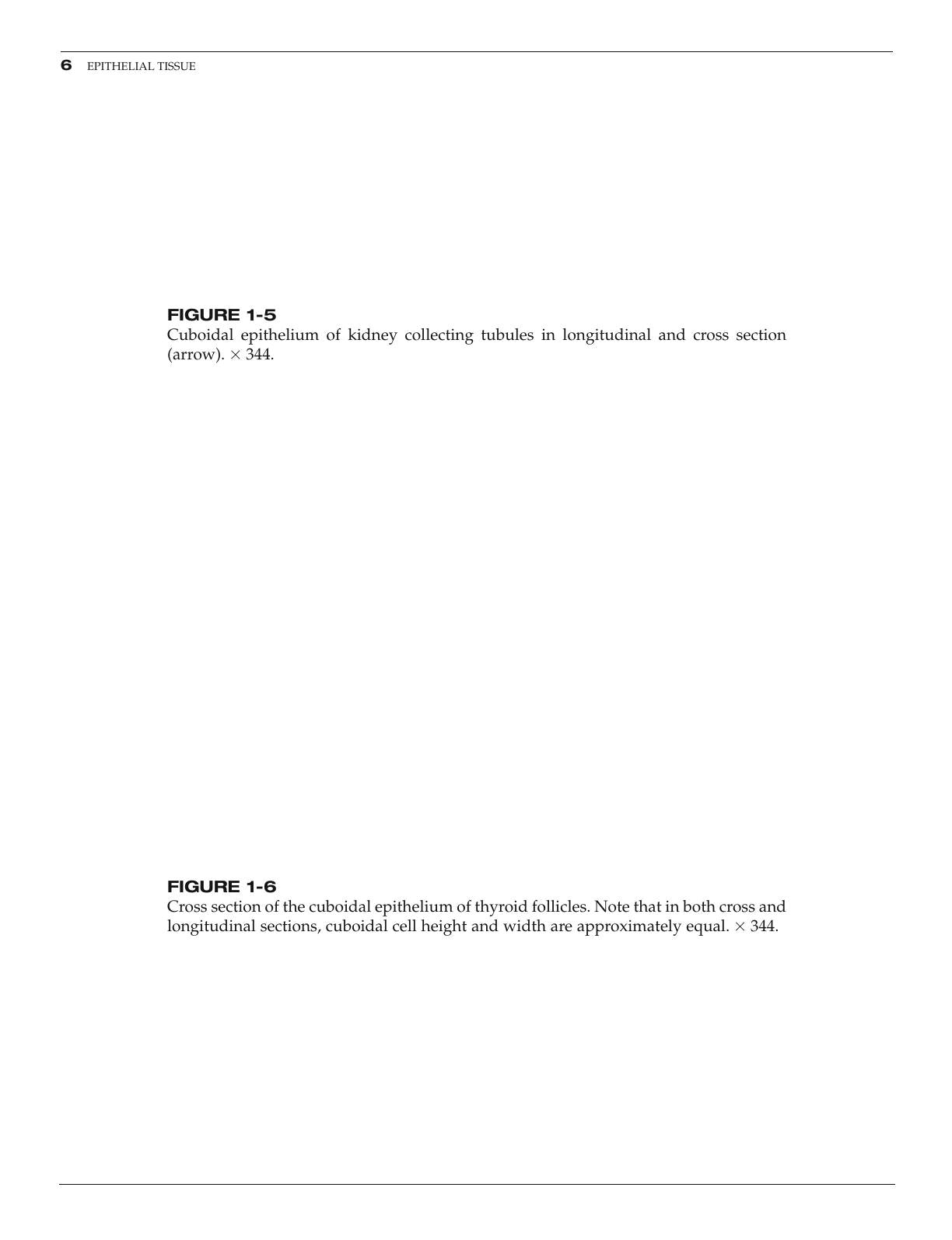 Look inside — page 12