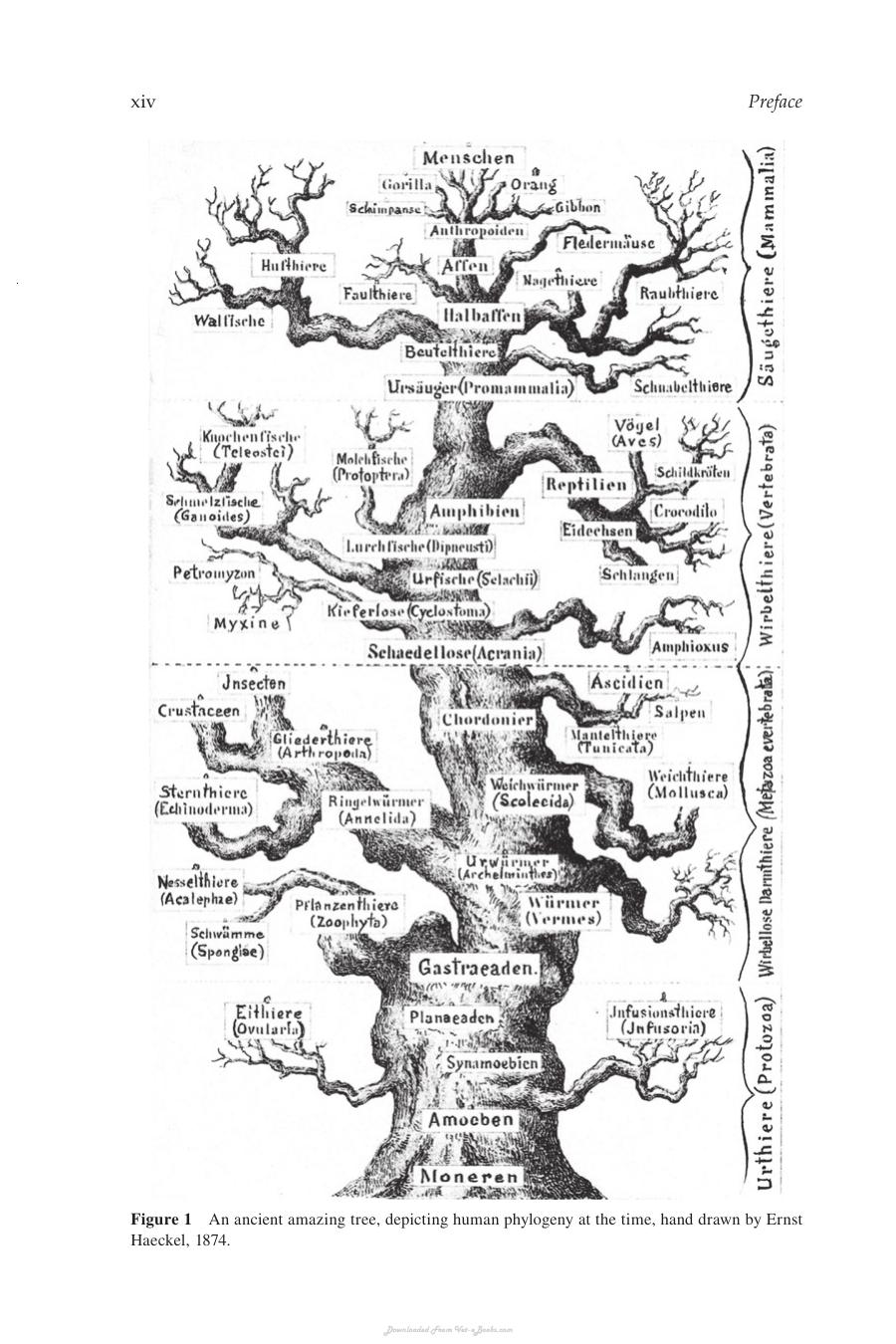 Primate Anatomy An Introduction 3Rd Edition