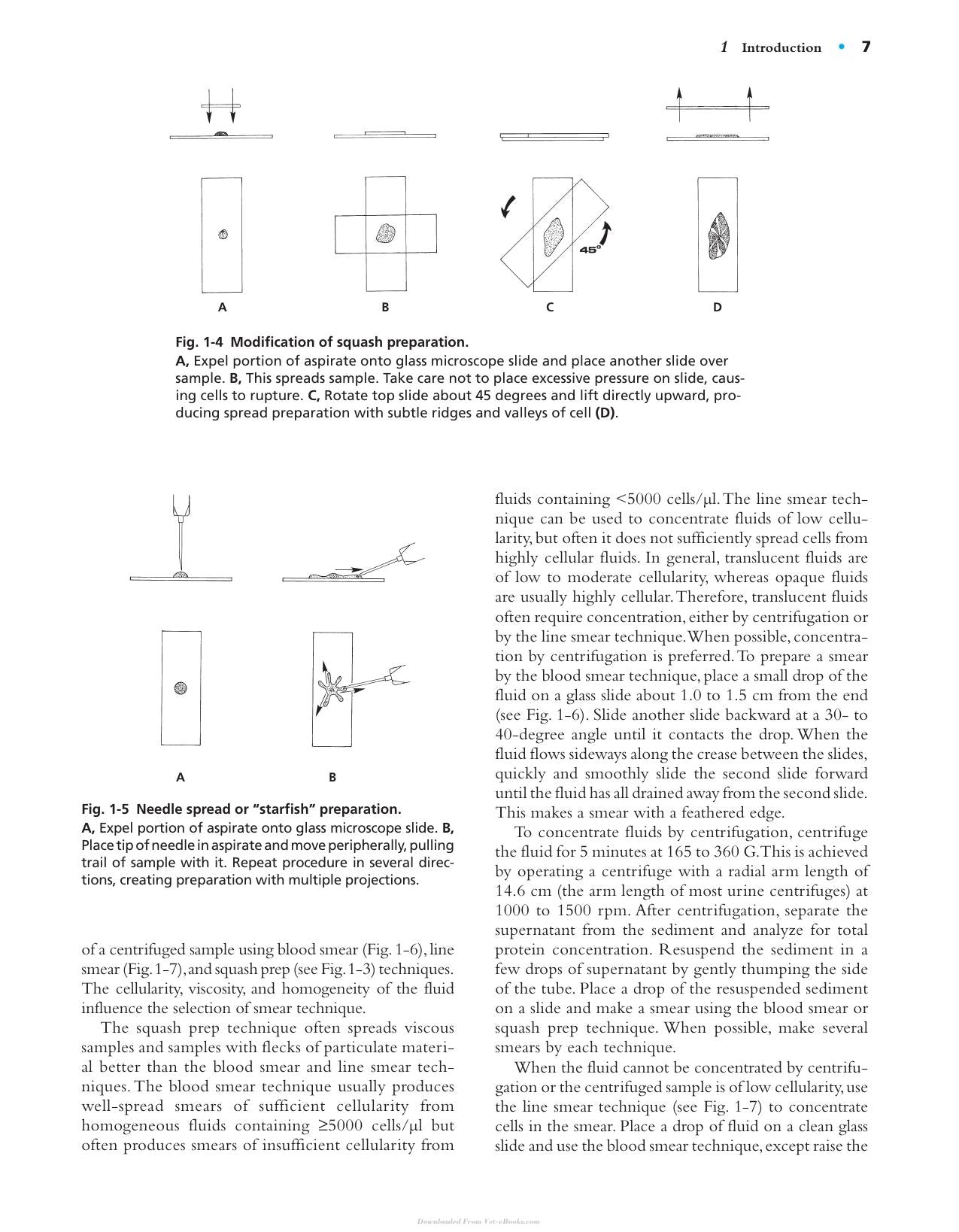 Diagnostic Cytology And Hematology Of The Horse 2Nd Edition