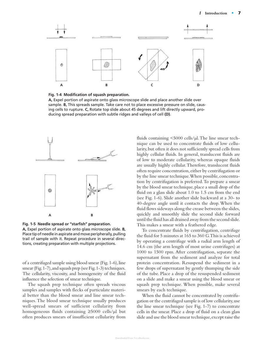 Preview page of Diagnostic Cytology and Hematology of the Horse 2nd Edition