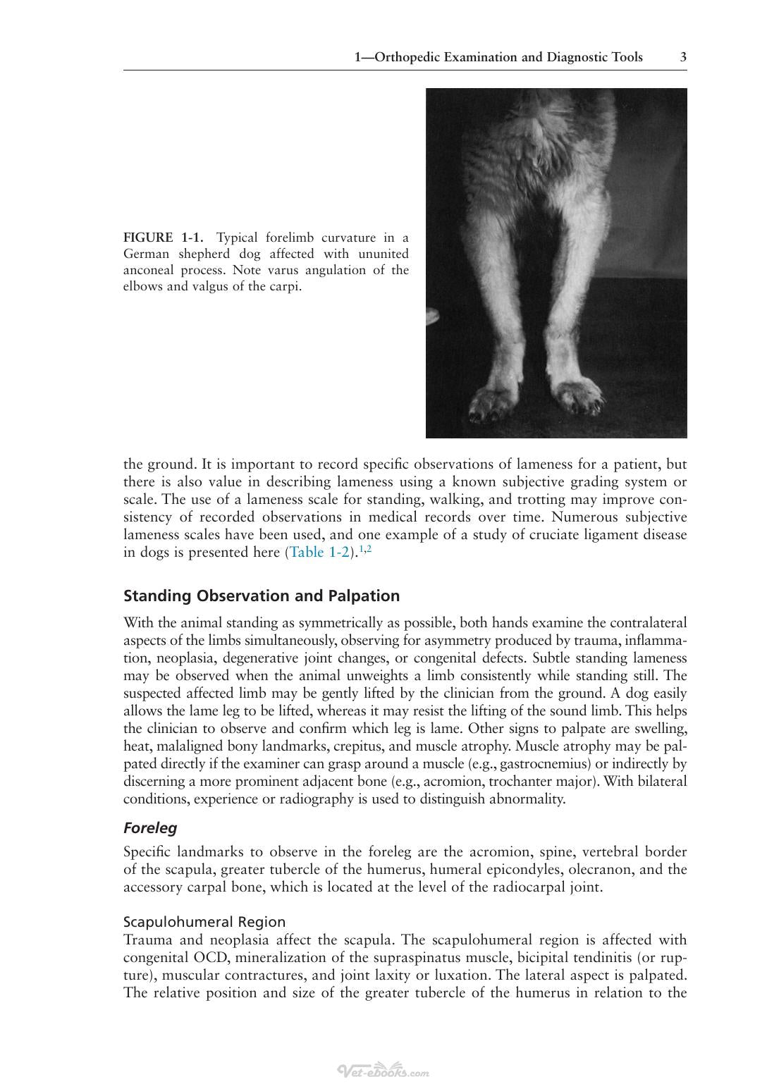 Look inside — page 12