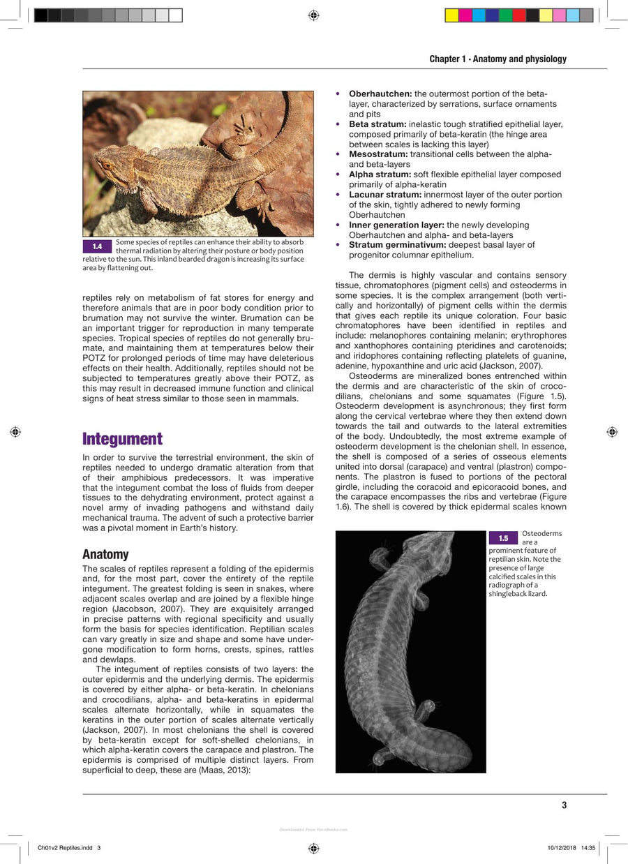 Preview page of Bsava Manual of Reptiles 3rd Edition