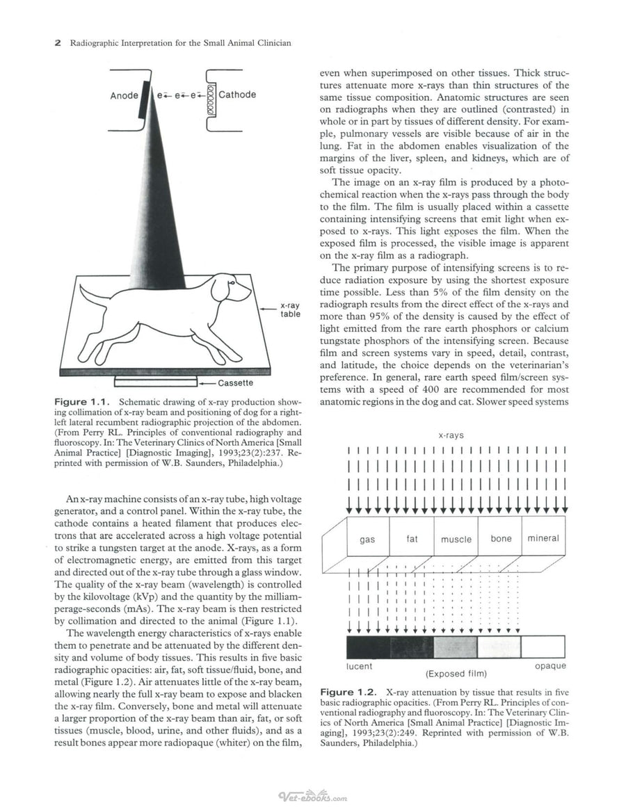 Preview page of Radiographic Interpretation for the Small Animal Clinician 2nd Edition