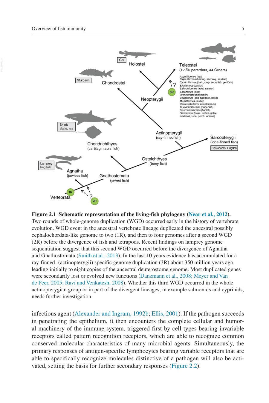 Mucosal Health In Aquaculture