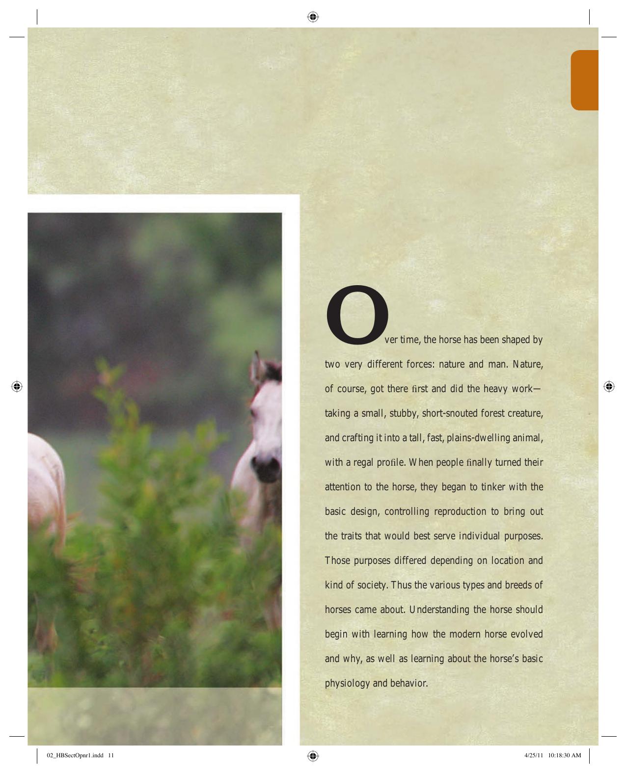 Look inside — page 12