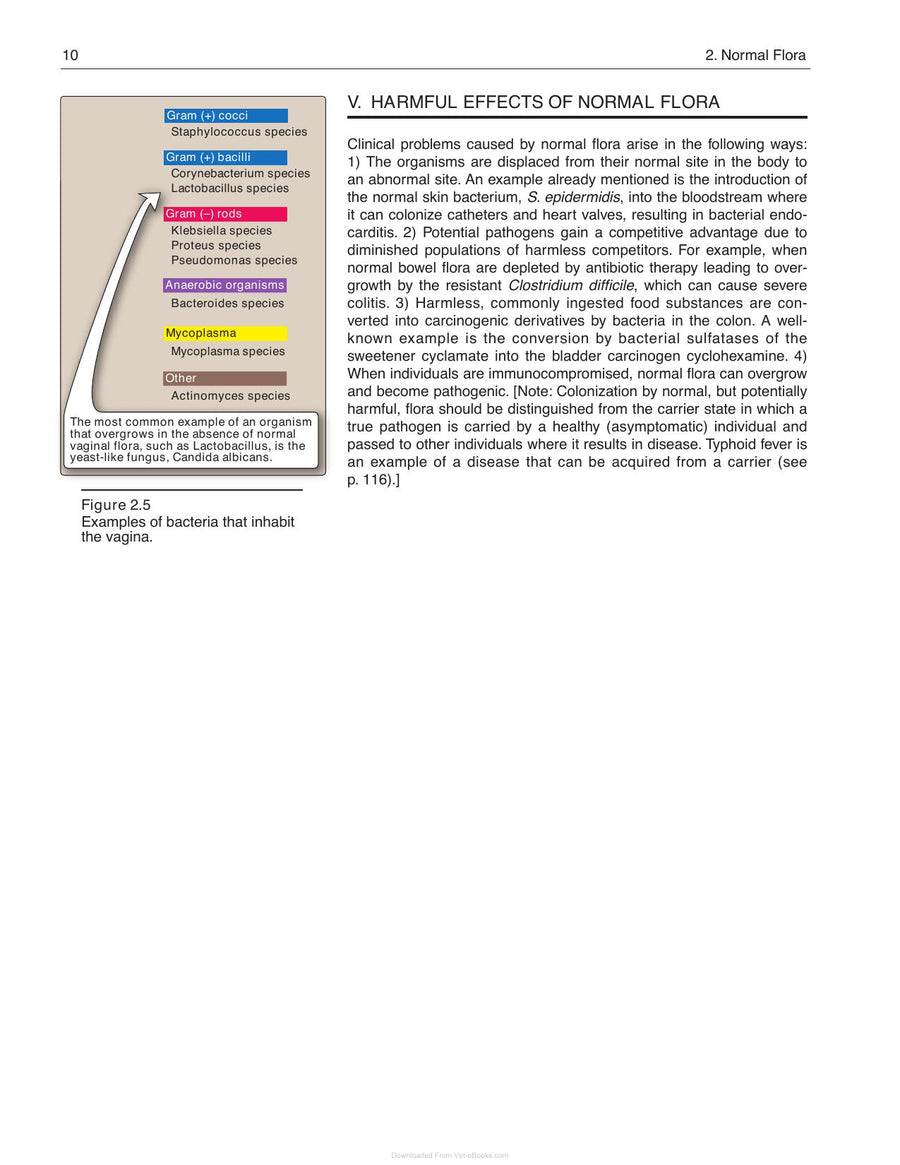 Preview page of Lippincotts Illustrated Reviews Microbiology 3rd Edition