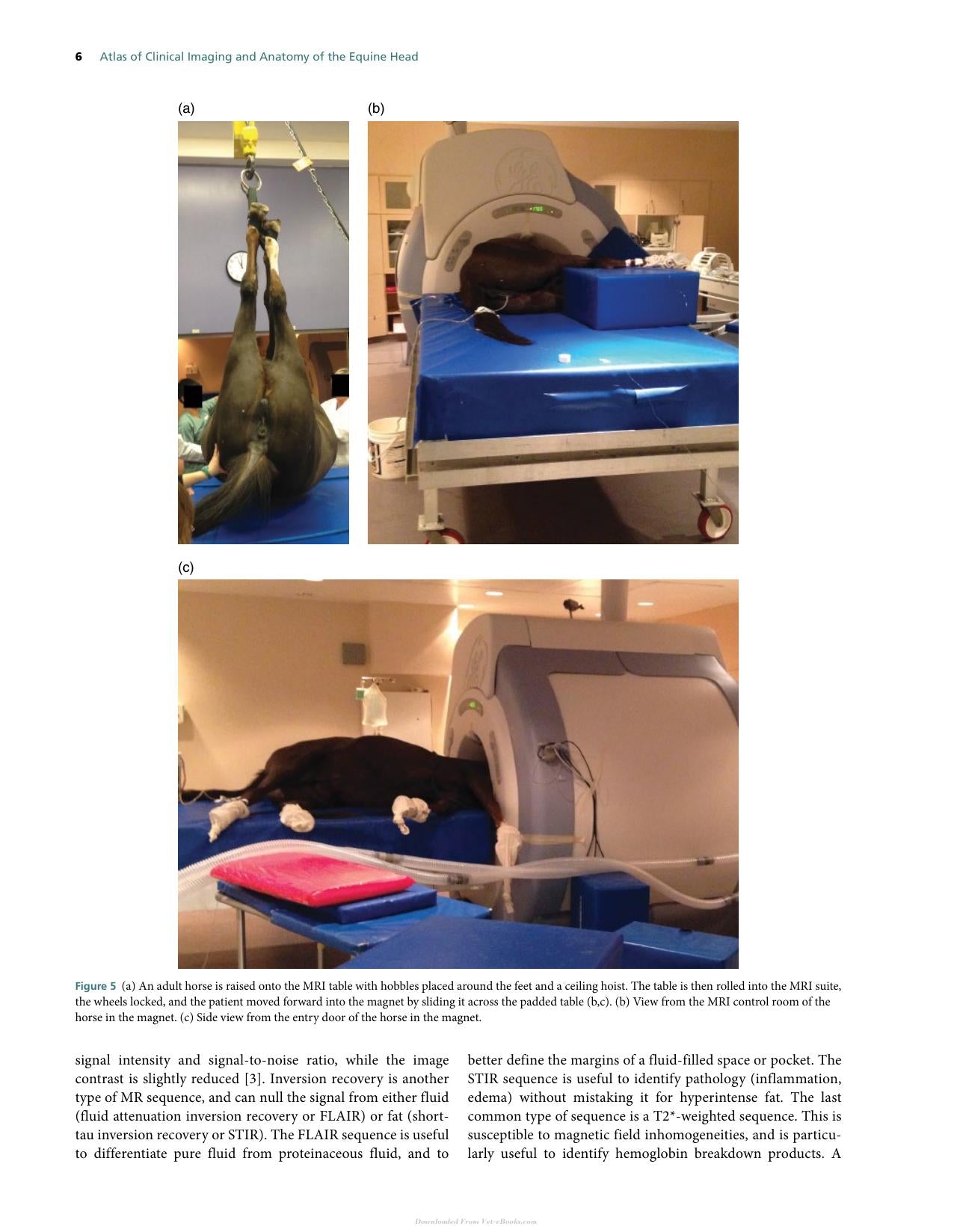 Atlas Of Clinical Imaging And Anatomy Of The Equine Head