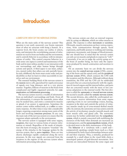 The Central Nervous System Structure and Function 4th Edition