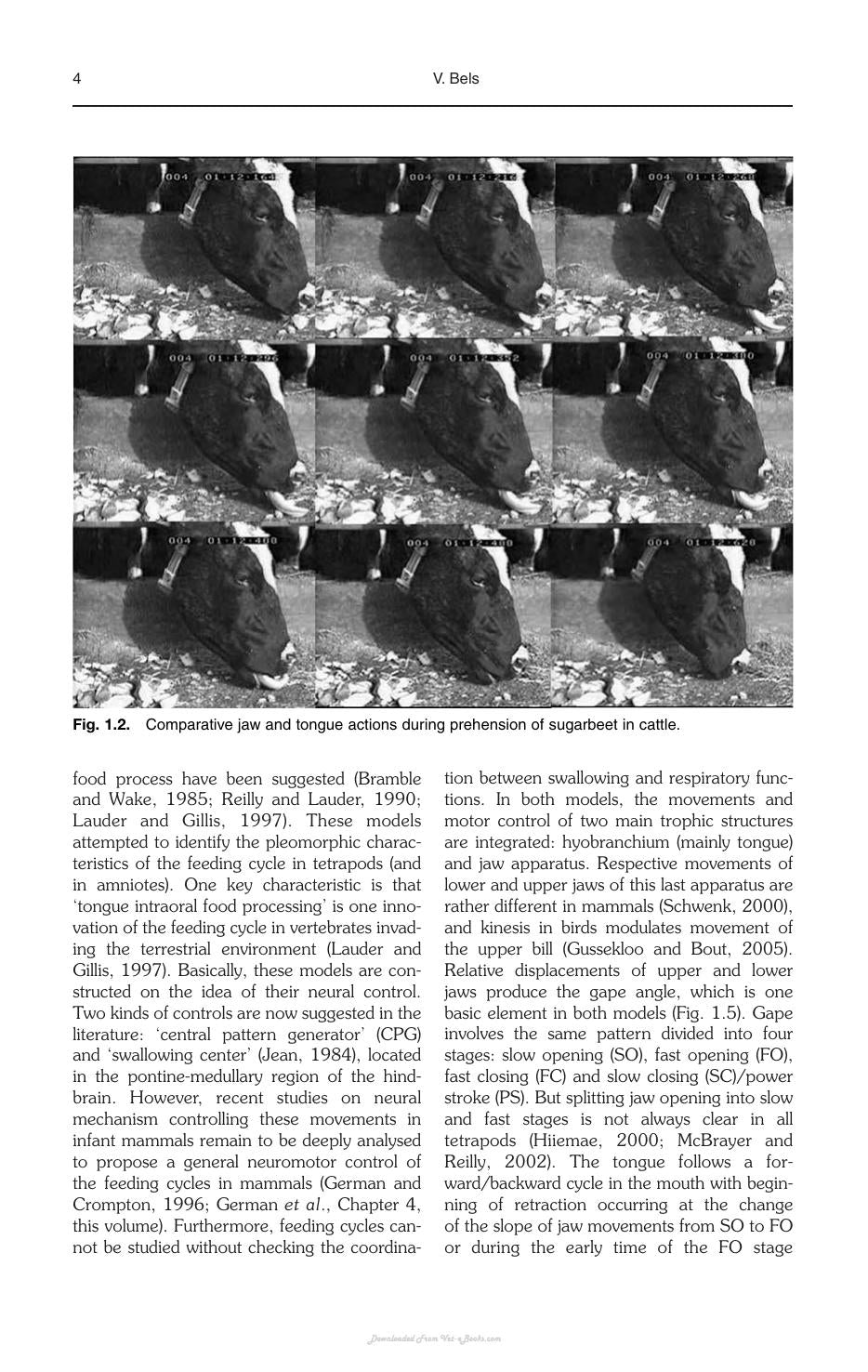 Look inside — page 12
