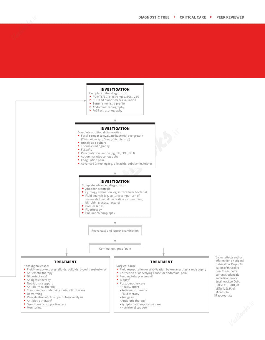 Preview page of Clinician's Brief Algorithms to Guide Your Diagnosis and Treatment